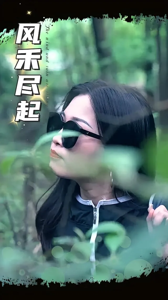 风禾尽起 2025海报