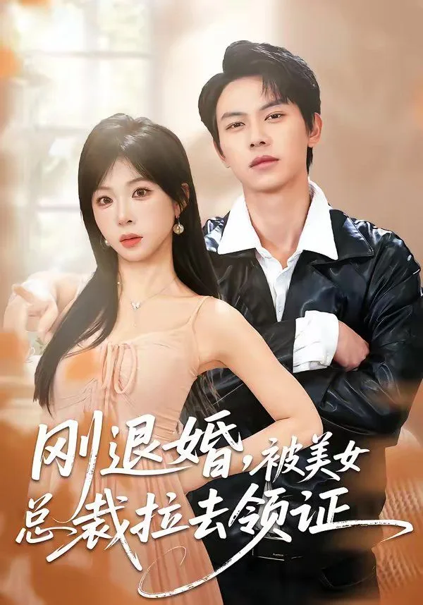 刚退婚，被美女总裁拉去领证海报