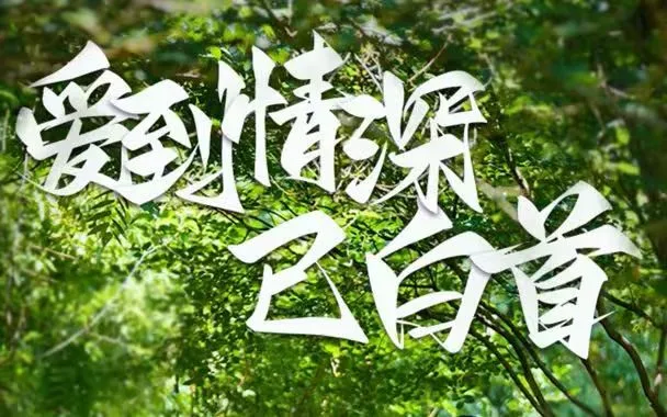爱到情深已白首海报