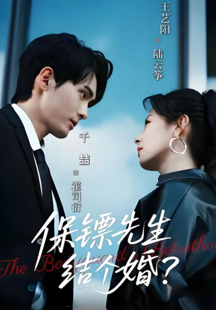保镖先生，结个婚海报