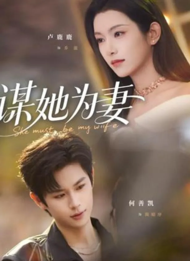 谋她为妻海报