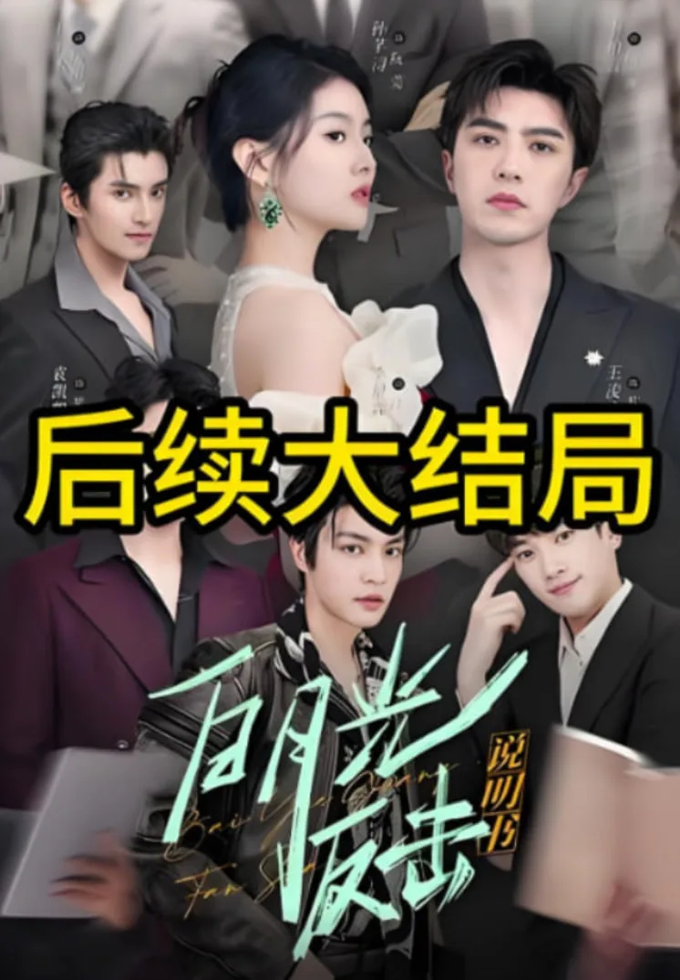 白月光反击说明书海报