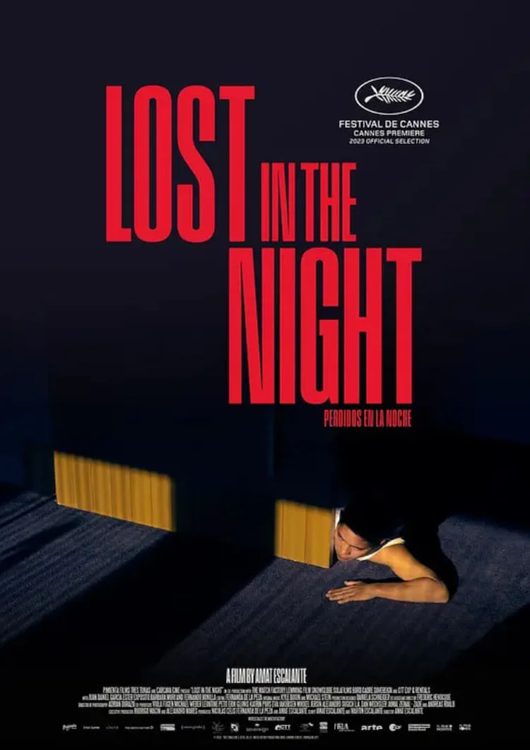 迷失暗夜海报