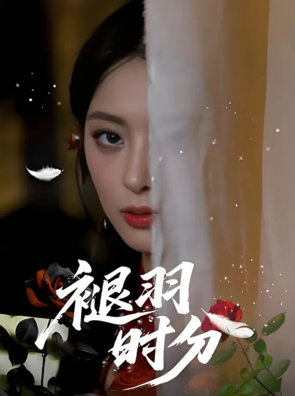 褪羽时分海报