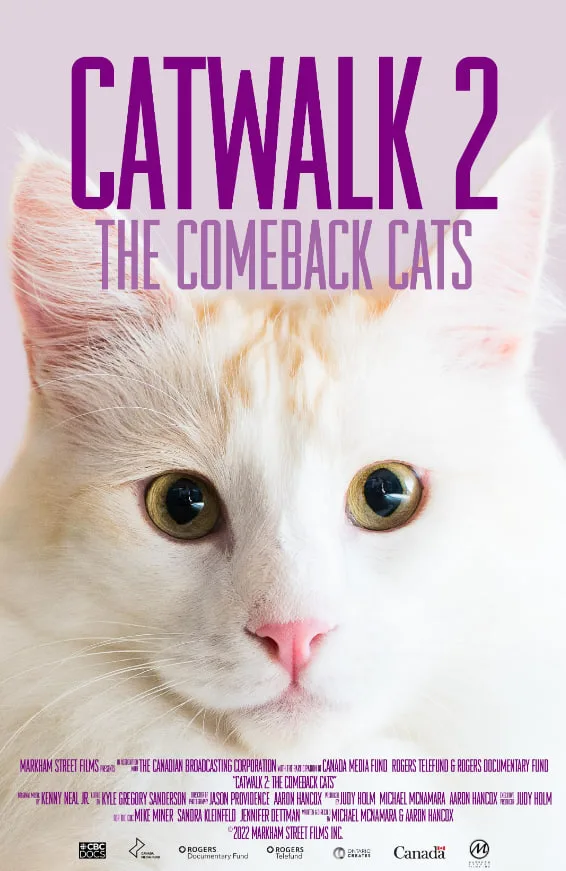 《猫步2：回归的猫》海报