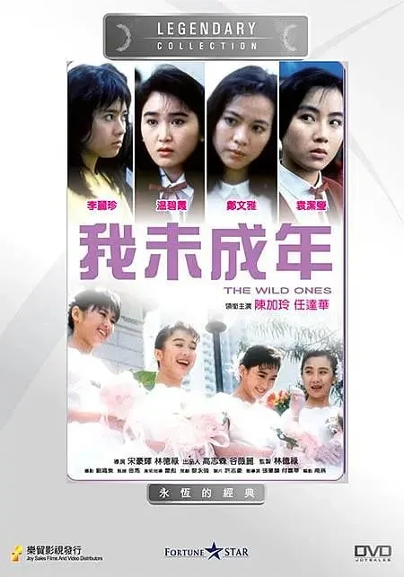 我未成年 1989海报