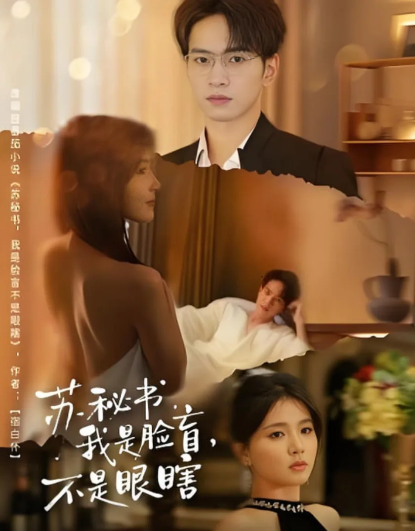 苏秘书我是脸盲不是眼瞎海报