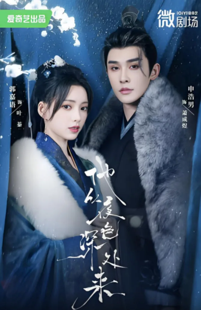 他从夜色深处来海报