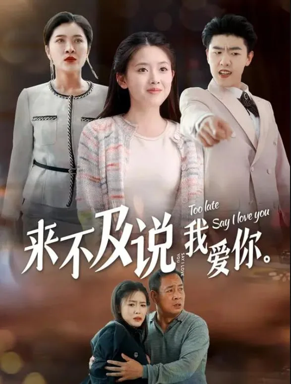 来不及说我爱你海报