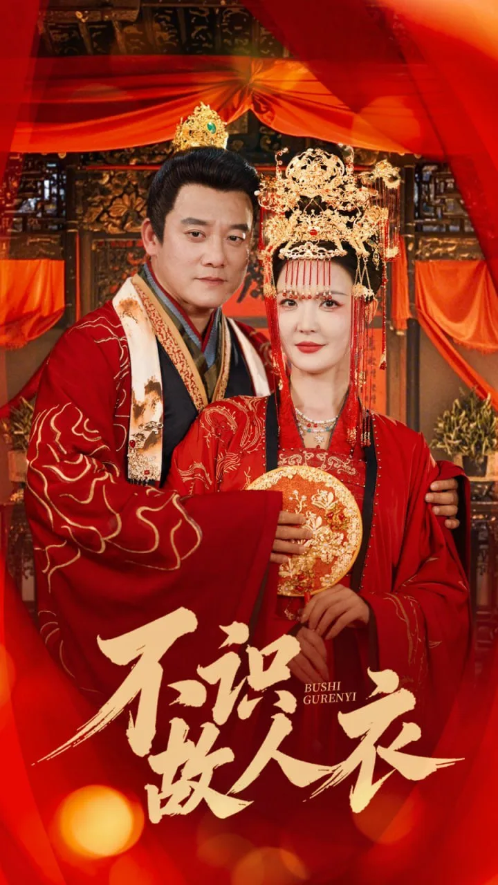不识故人衣海报