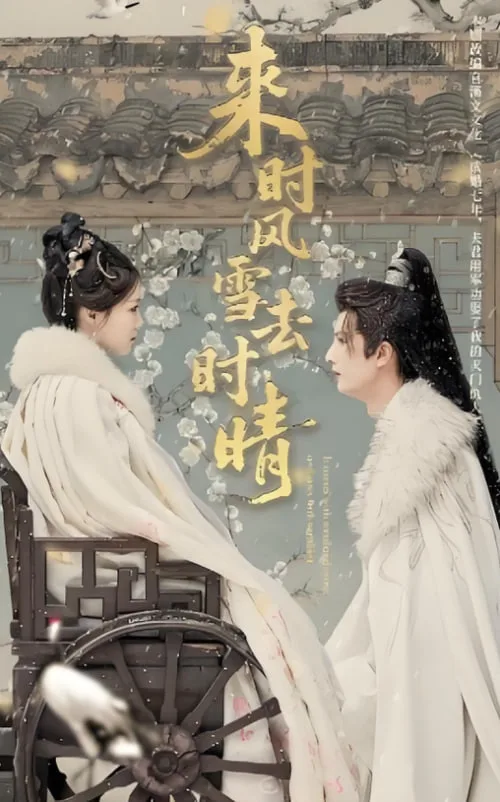 来时风雪去时晴海报