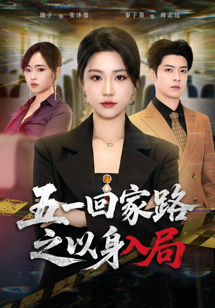 五一回家路之以身入局海报