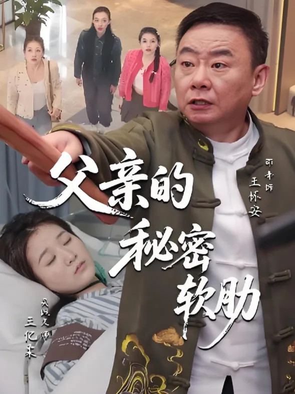 父亲的秘密软肋海报