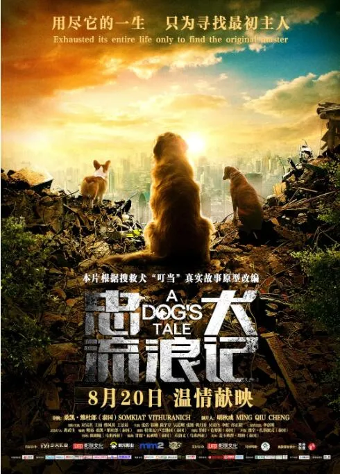 忠犬流浪记海报