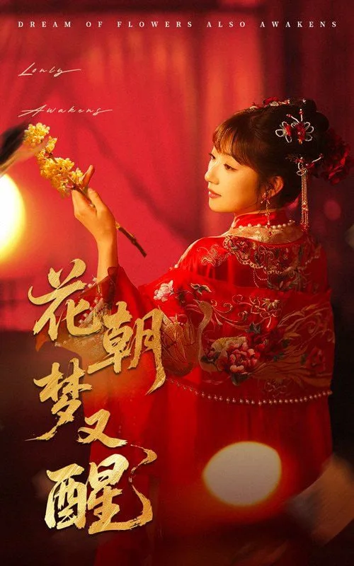 花朝梦又醒海报