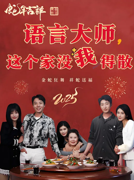 语言大师这个家没我得散海报