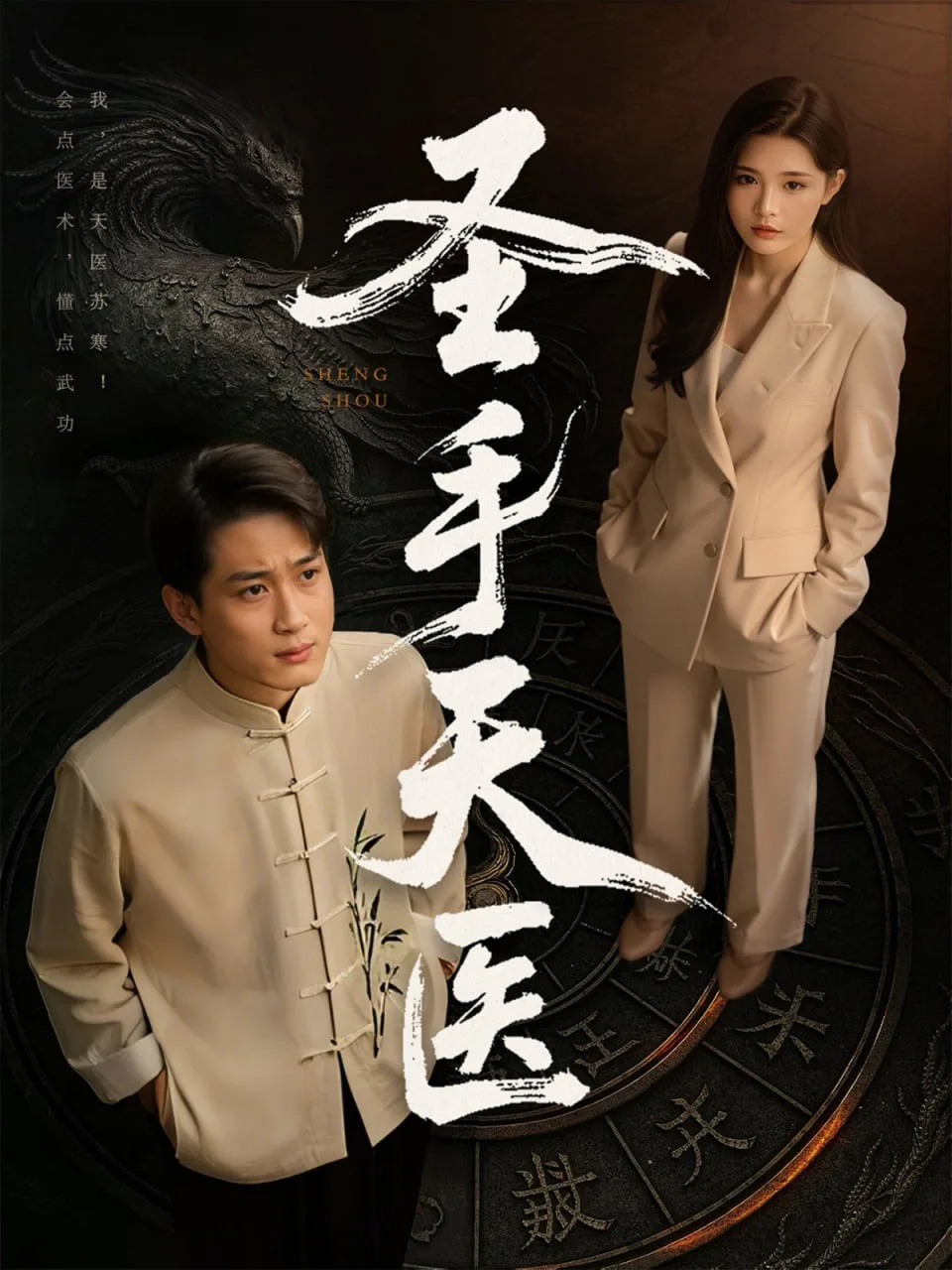 圣手天医海报
