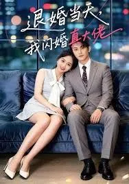 退婚当天，我闪婚真大佬海报