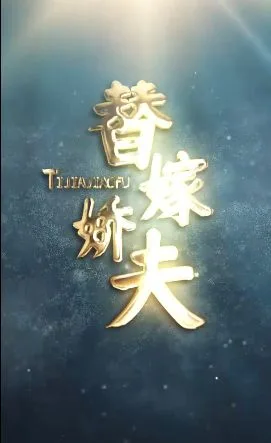 替嫁娇夫海报