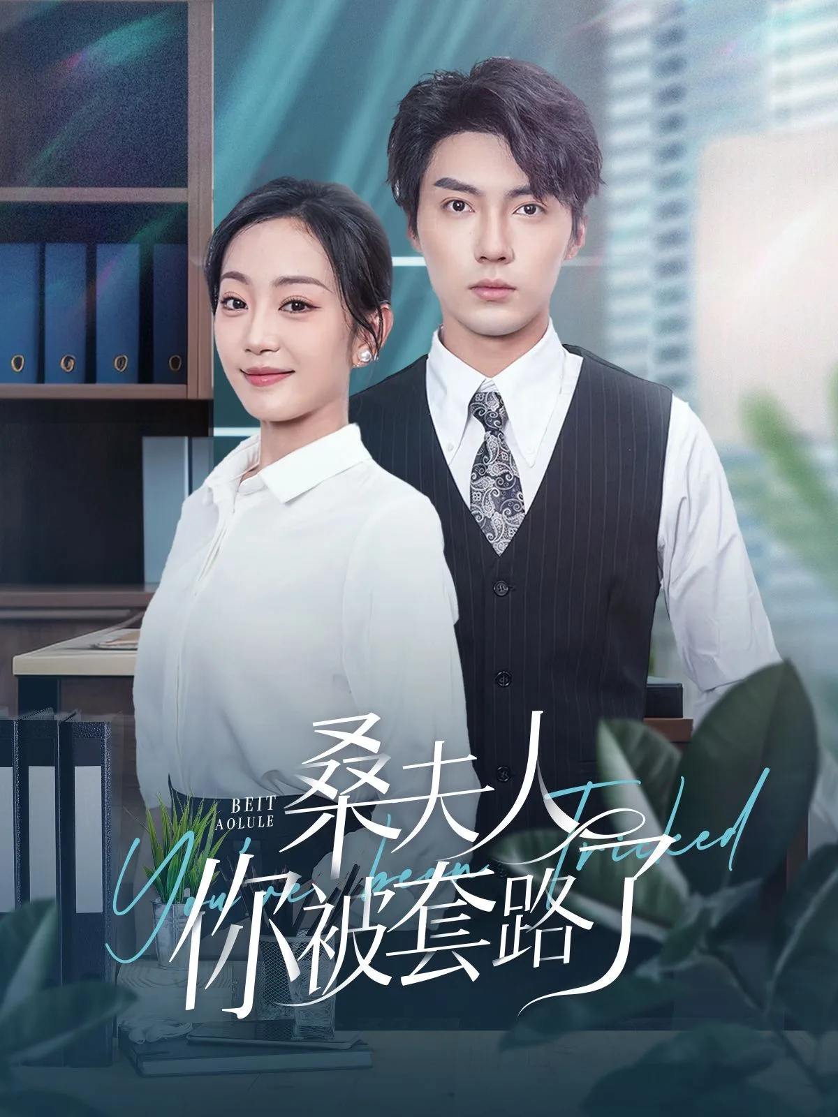 桑夫人你被套路了海报