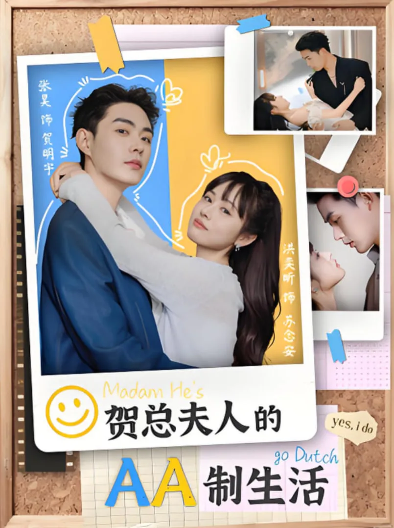 贺总夫人的AA制生活海报