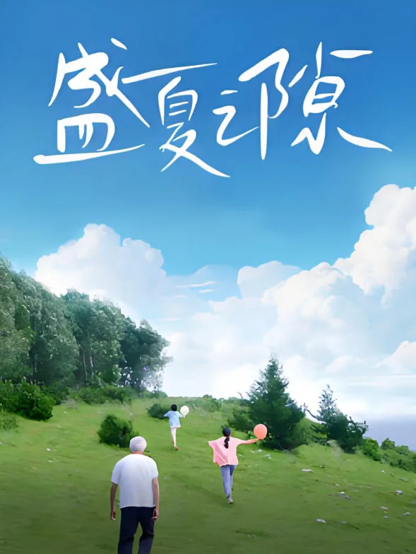 盛夏之隙海报