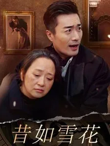 昔如雪花海报