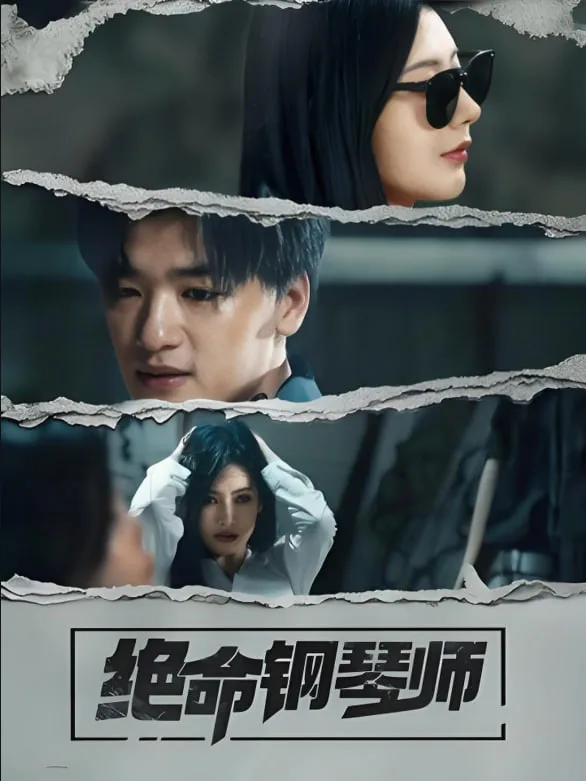 绝命钢琴师海报
