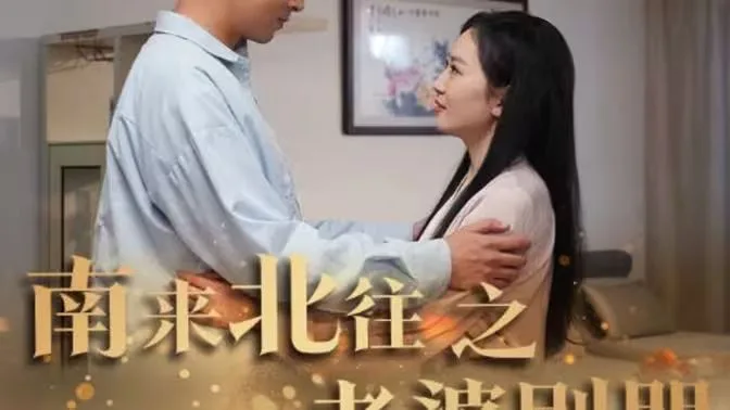 南来北往之老婆别哭海报