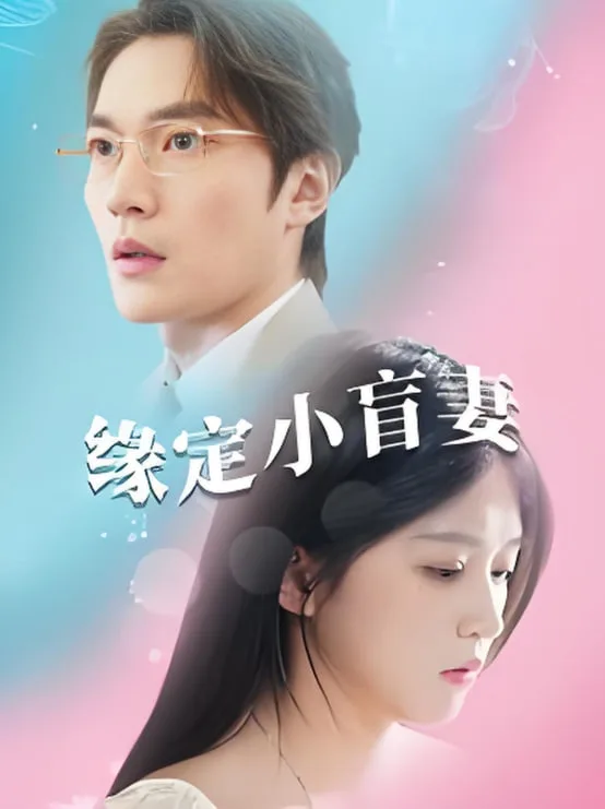 缘定小盲妻海报