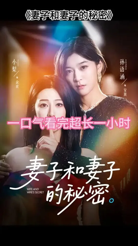 妻子和妻子的秘密海报