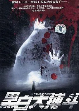 黑白大搏斗海报