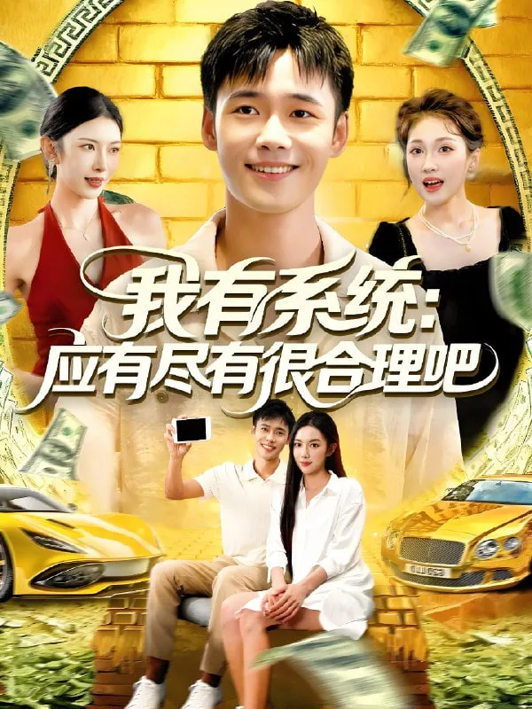 我有系统应有尽有很合理吧海报