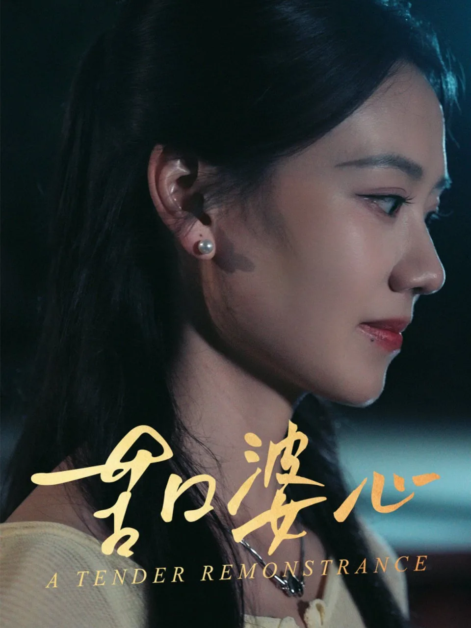 苦口婆心海报