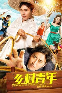 乡村青年海报