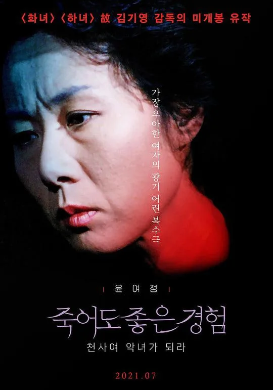 死也是很好的经验海报