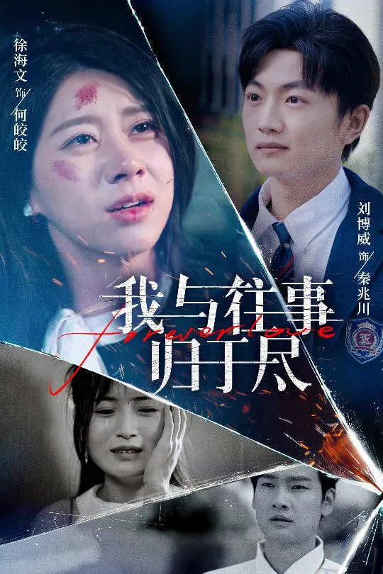 我与往事归于尽海报