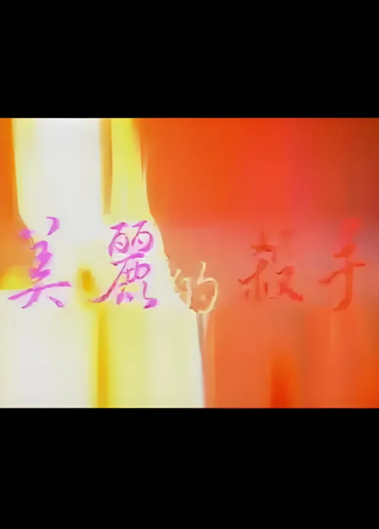 美丽的杀手海报