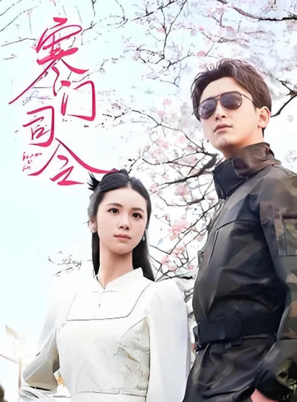 寒门司令海报
