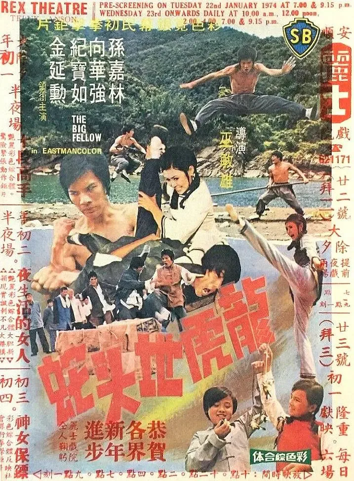 龙虎地头蛇海报