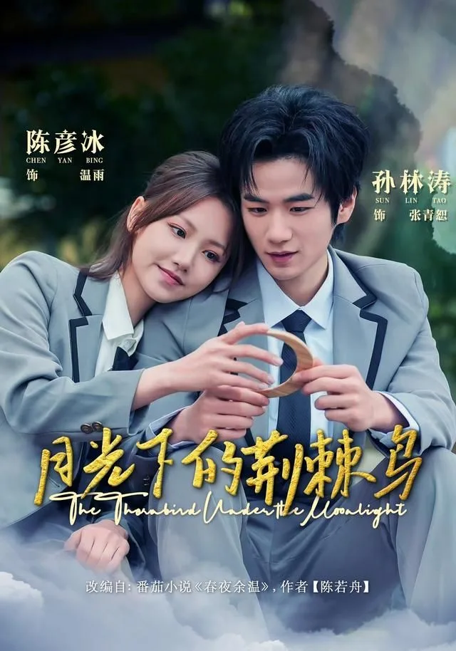 月光下的荆棘鸟海报