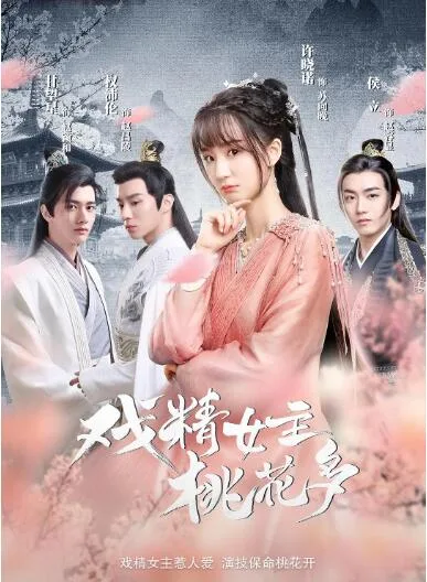戏精女主桃花多海报