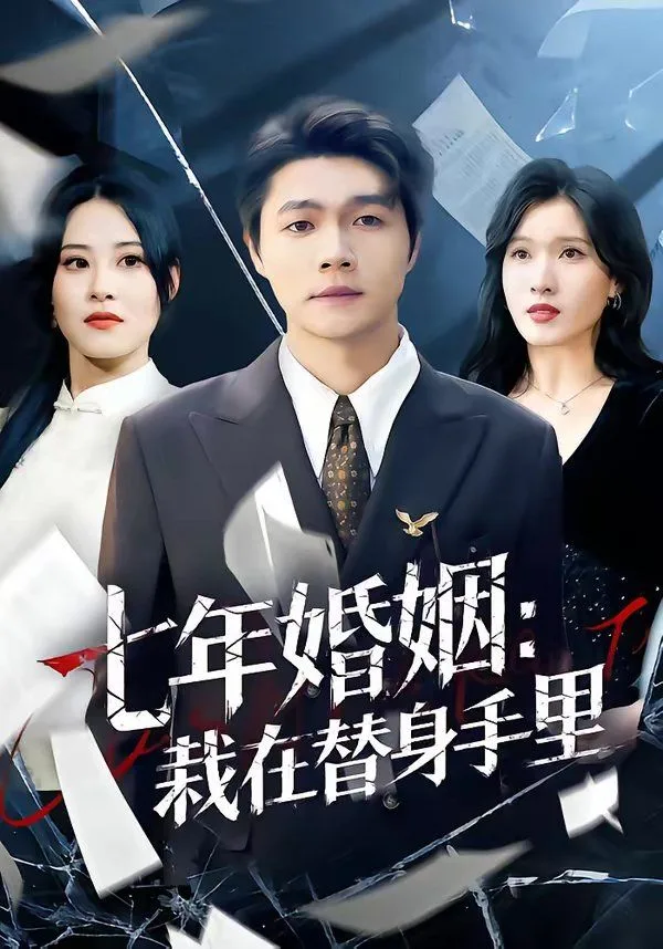 七年婚姻：栽在替身手里海报