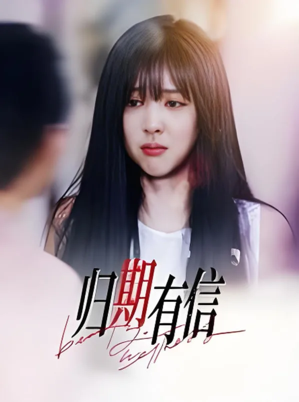 归期有信海报