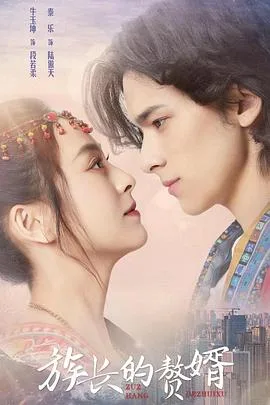 族长的赘婿海报