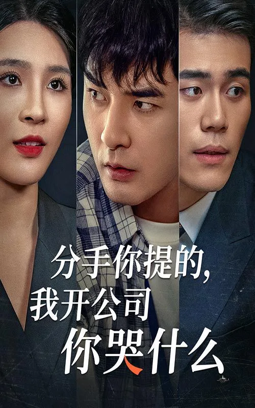 分手你提的，我开公司你哭什么海报