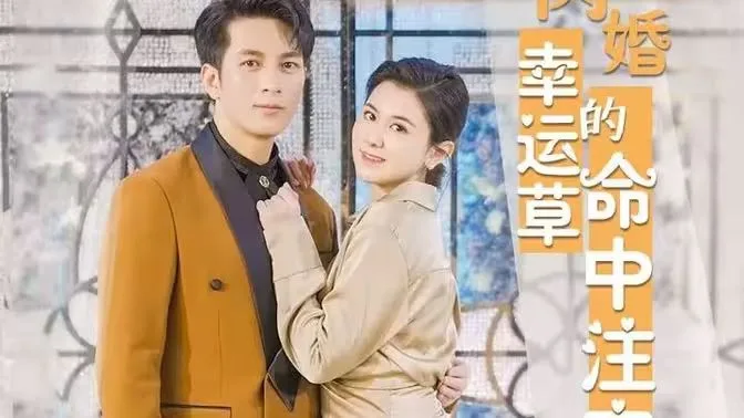 闪婚幸运草的命中注定海报