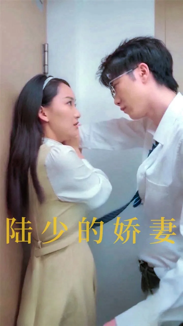 陆少的娇妻海报