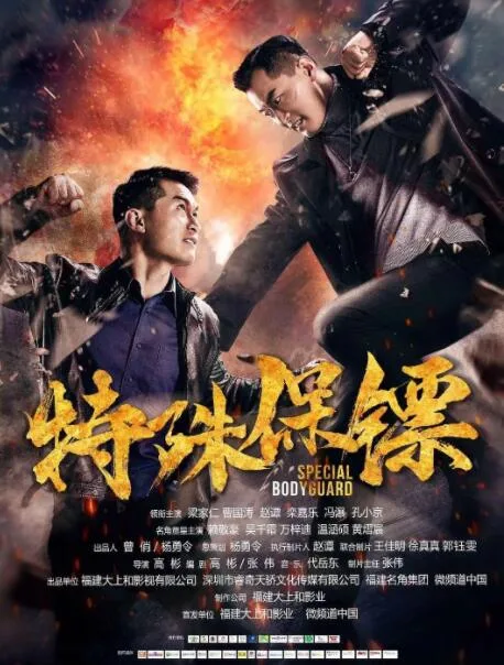 特殊保镖海报