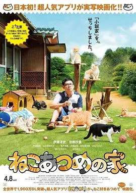 猫咪后院之家海报